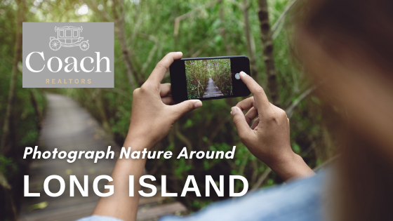 Photograph Nature Around Long Island - Coach Realtors